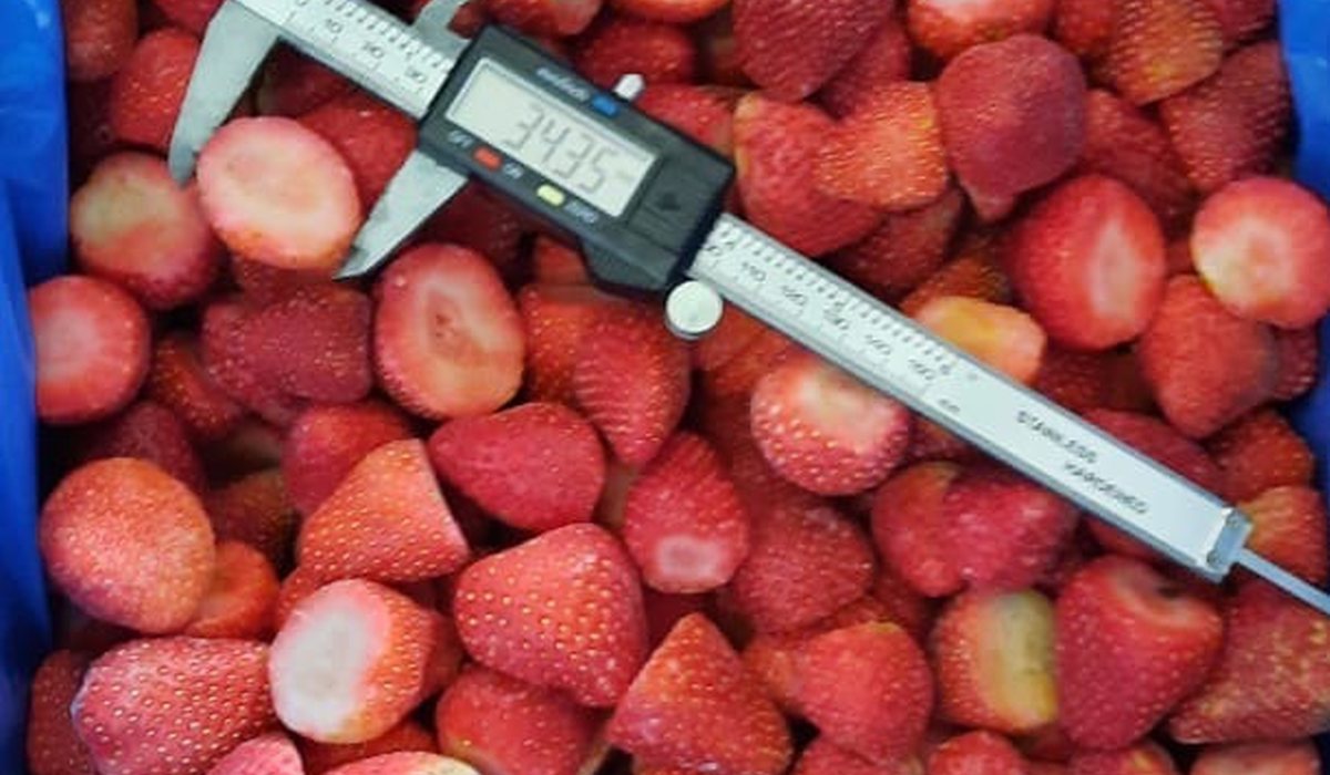The Market Is Not Short of Strawberries, but of Compliant Supply - Egy Berries