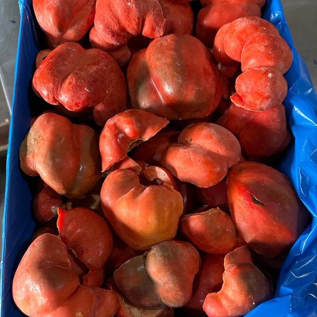 Tiefkühl-Paprika aus Ägypten - Egy Berries
