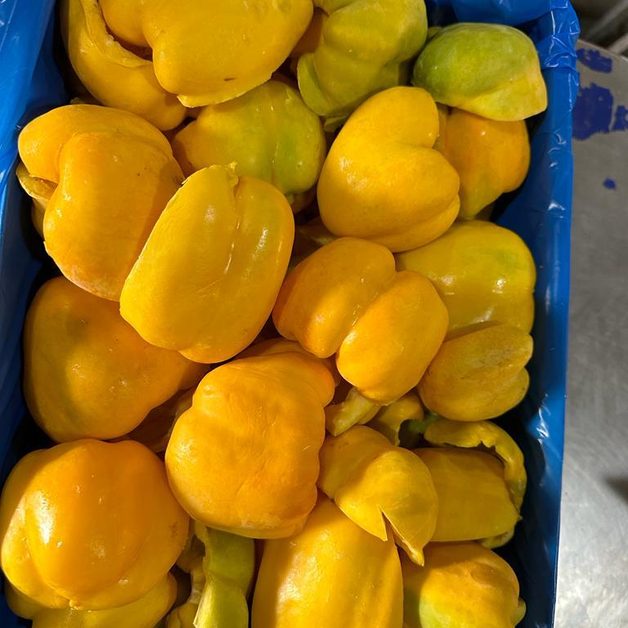 Tiefgekühlte gelbe Paprikahälften - Egy Berries