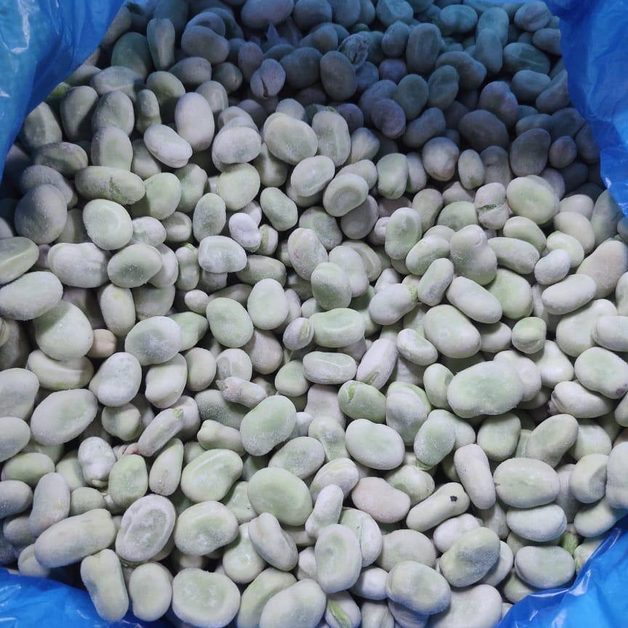 Tiefkühl-Ackerbohnen aus Ägypten - Egy Berries