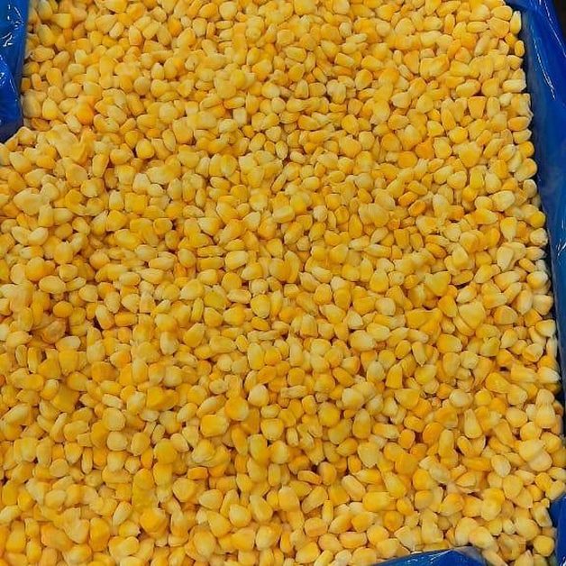 Tiefkühl-Zuckermais aus Ägypten - Egy Berries