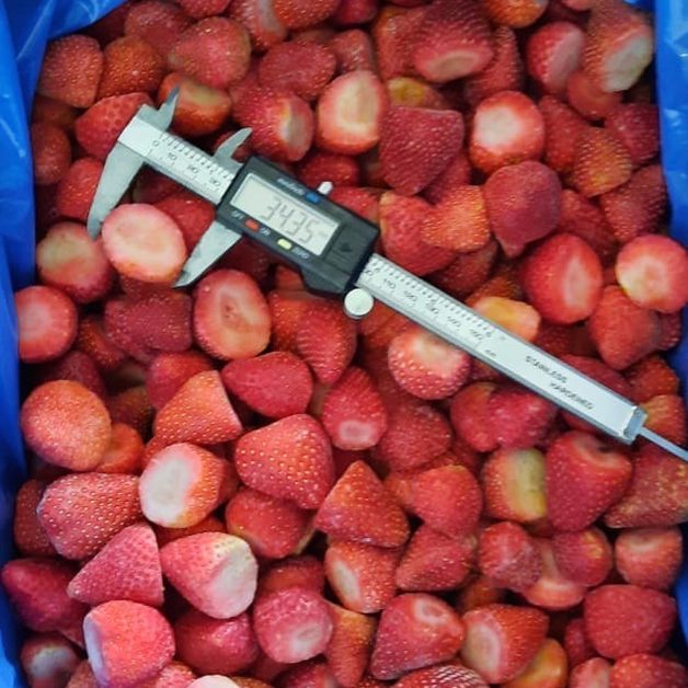 IQF-Tiefkühl-Erdbeeren aus Ägypten - Egy Berries