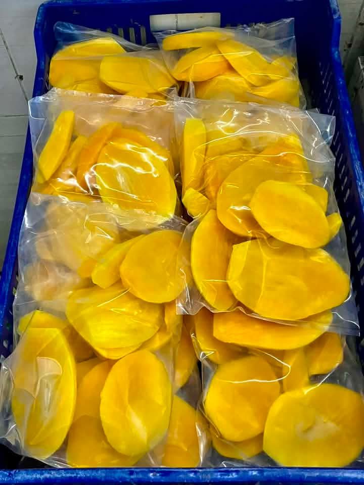Tiefgekühlte Mangoscheiben aus Ägypten - IQF-Packungen, Egy Berries