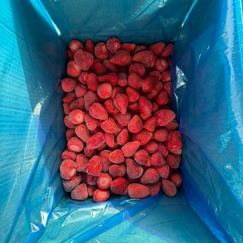 IQF whole frozen strawberries in a lined bulk carton – Egy Berries, Egypt