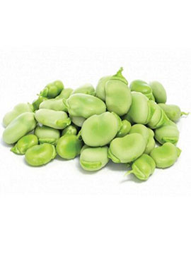 Green Broad Beans