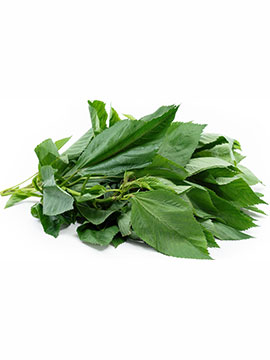 Molokhia Leaves 